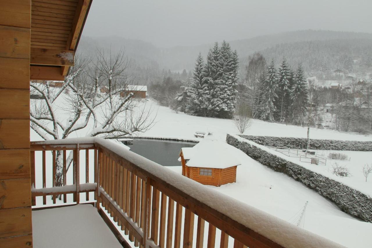 Chalet Centauree - Remy Herold Xonrupt-Longemer Exterior foto