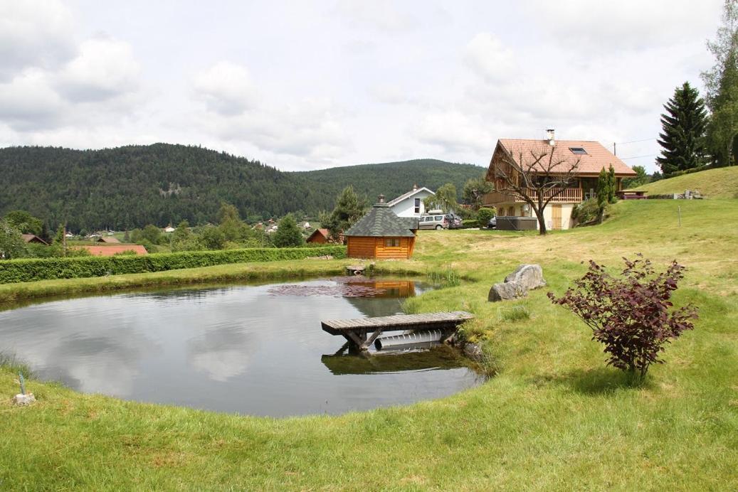 Chalet Centauree - Remy Herold Xonrupt-Longemer Exterior foto