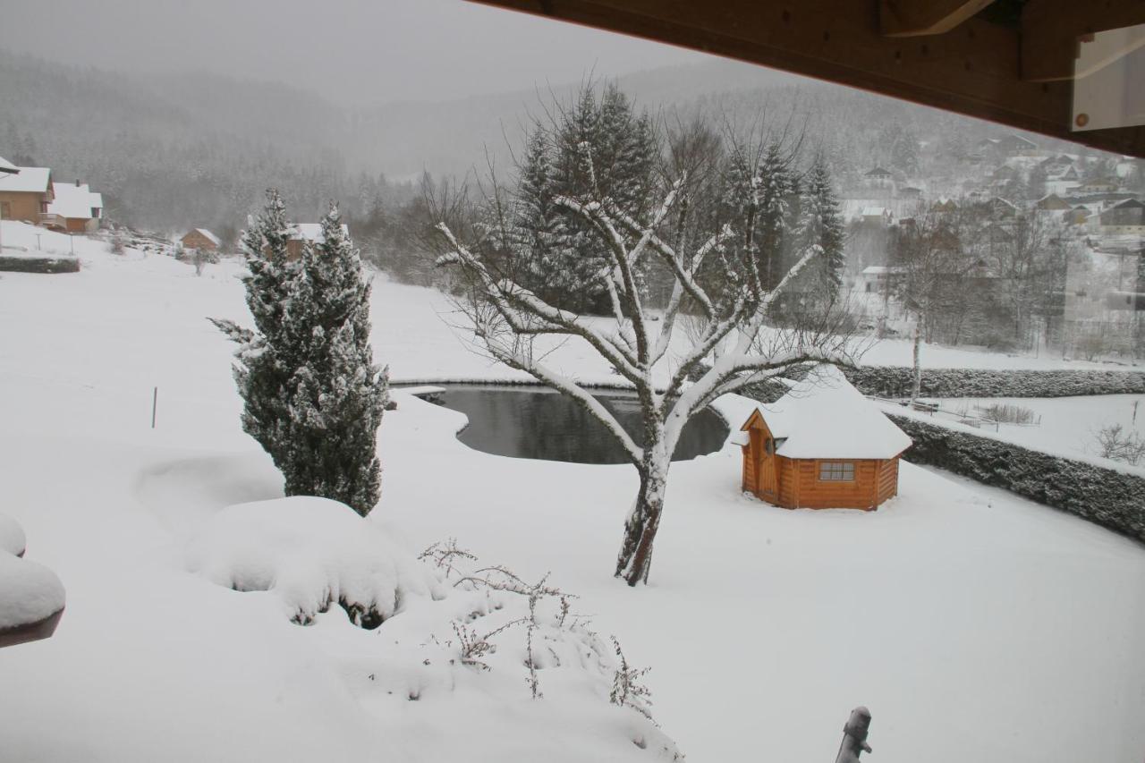 Chalet Centauree - Remy Herold Xonrupt-Longemer Exterior foto