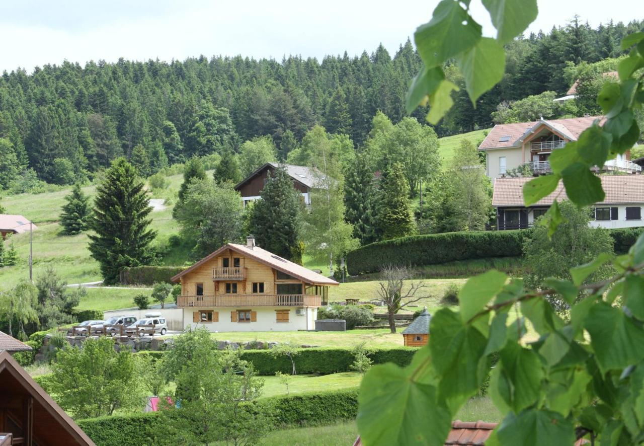 Chalet Centauree - Remy Herold Xonrupt-Longemer Exterior foto