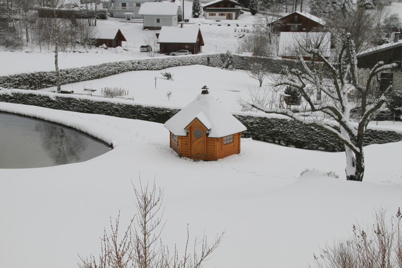 Chalet Centauree - Remy Herold Xonrupt-Longemer Exterior foto